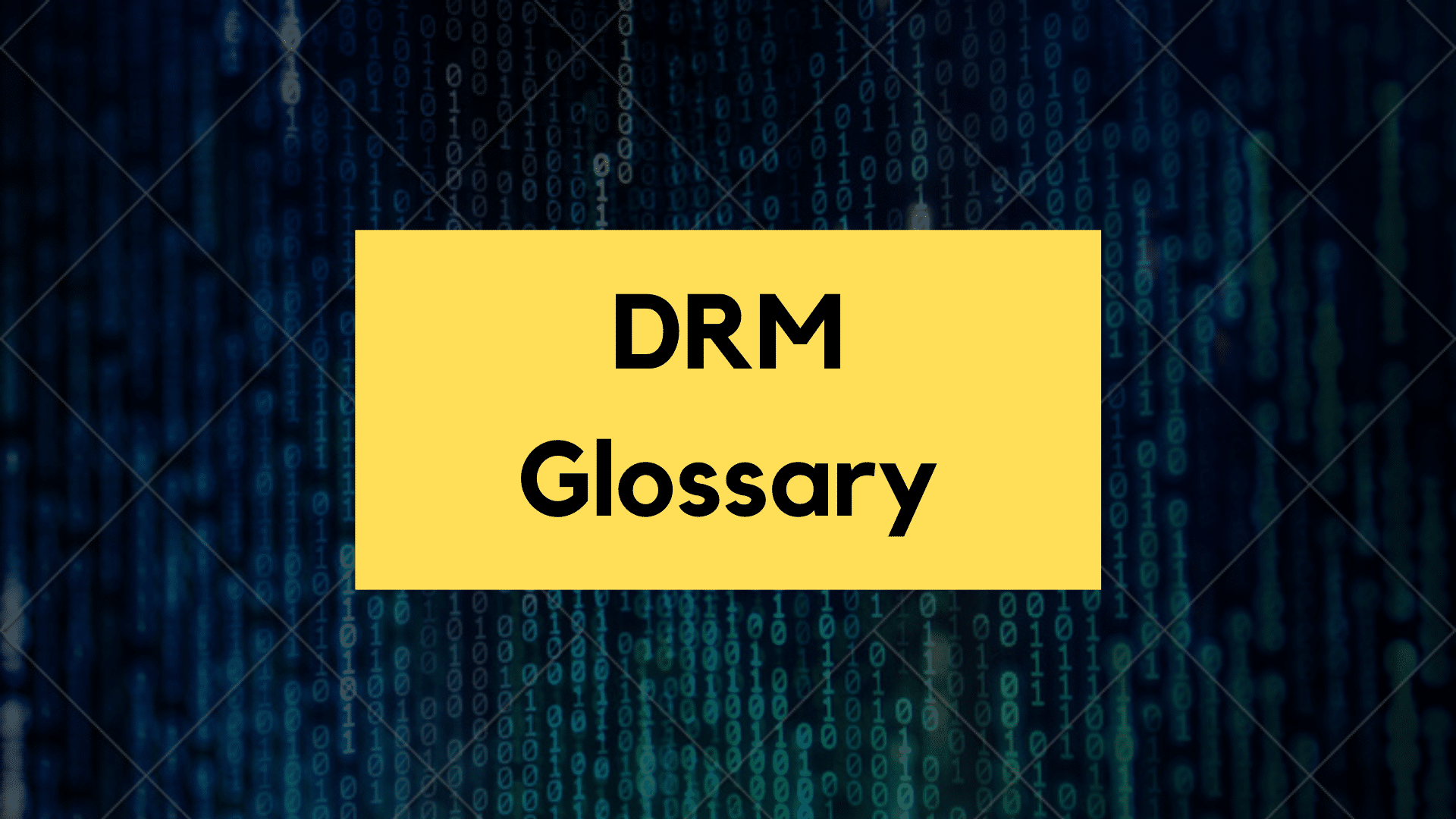 Glossary of DRM Terminologies
