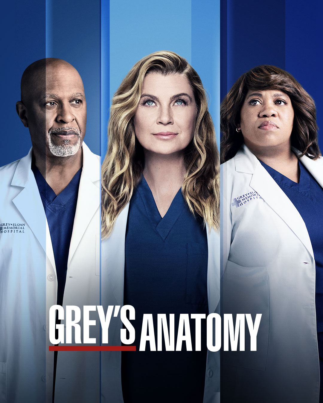 Greys Anatomy Poster