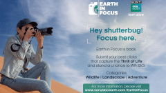 Sony BBC Earth returns with its successful photography contest ‘Earth In Focus’