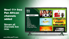 AfroLandTV Partners with FAST Channels TV to bring Black Live Channels!